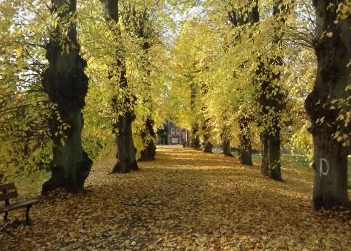 Traufenhaus Am - Urlaub Im Denkmal Апартаменты